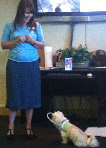 Blind Dog demonstrates tricks