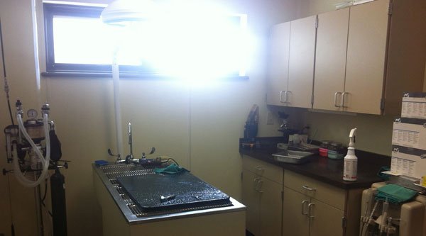 Kentucky Humane Society Animal