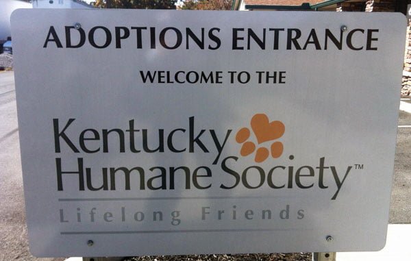humane society animal adoption