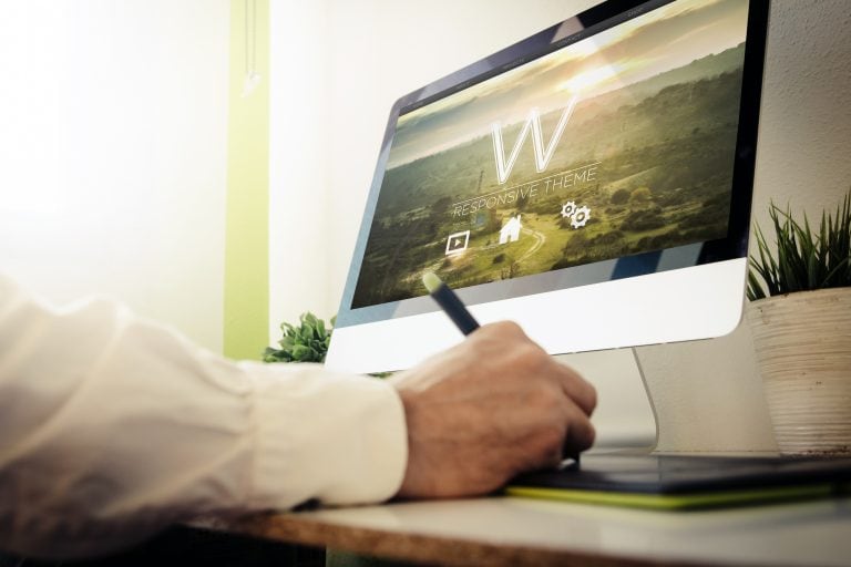 web development