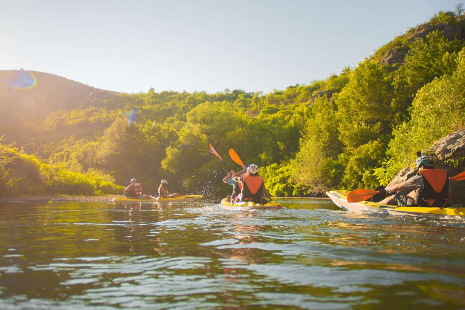 Appomattox River Company Our Project Mediaura